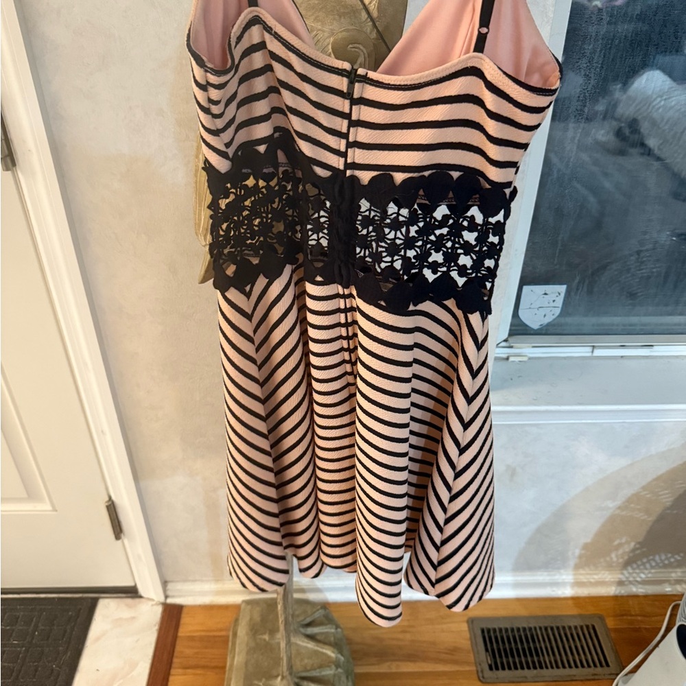 Pink and Black Striped Dress with Lace Detail